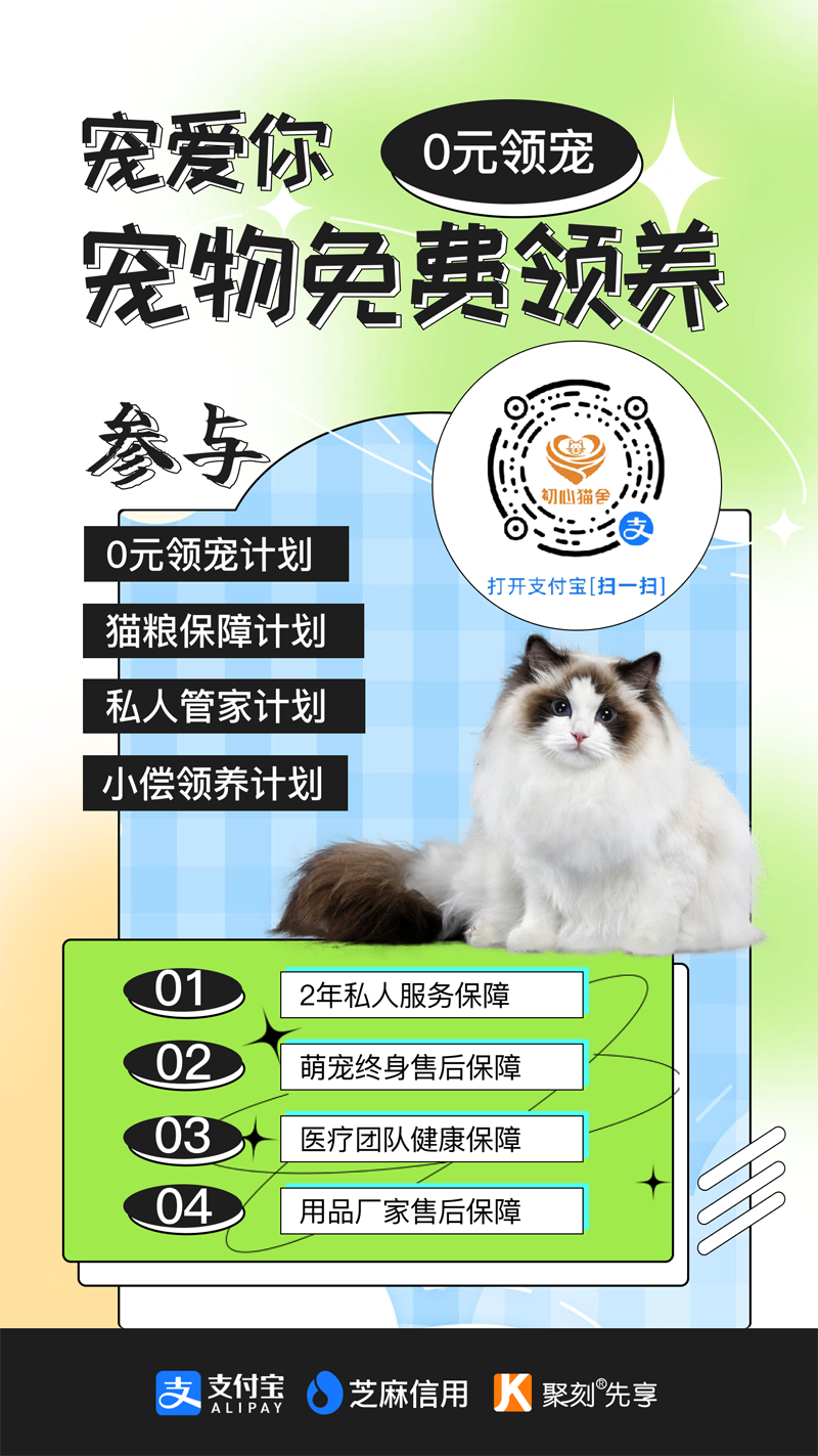 初心猫舍